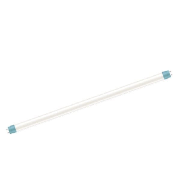 LED燈｜Philips 雙端入電LED玻璃燈管 T8 2呎/4呎｜宏城水電